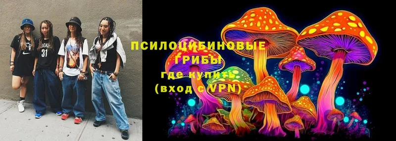 Псилоцибиновые грибы Magic Shrooms  кракен tor  Кулебаки 